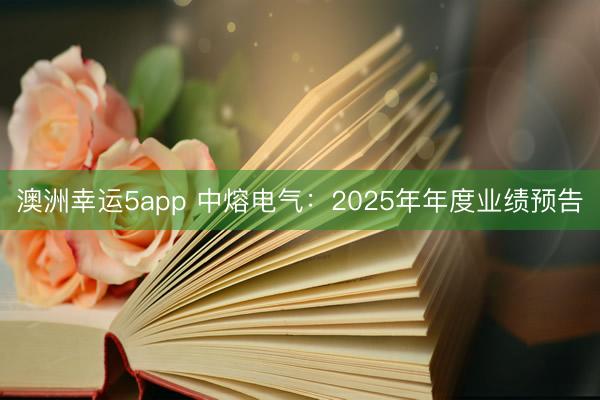澳洲幸運5app 中熔電氣:2025年年度業(yè)績預(yù)告